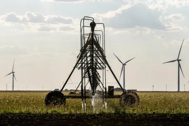 As Texas swelters, crops and cattle are increasingly at risk